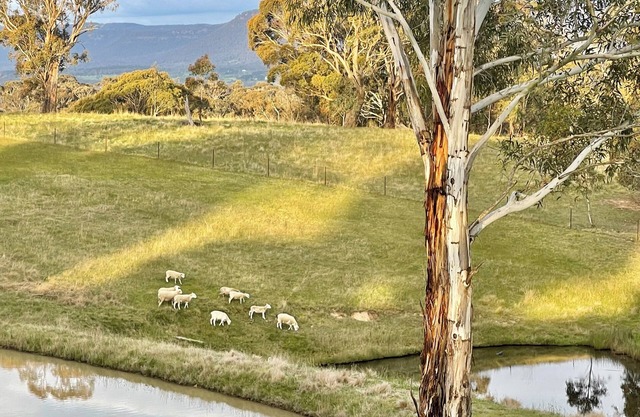 Jenolan Luxury Farm Stay in Blue Mountains