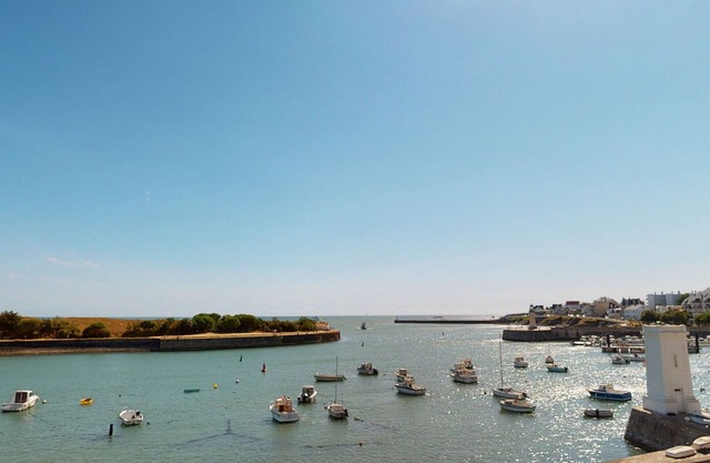 Joli 2 pièces face au Port, Le Pêcheur