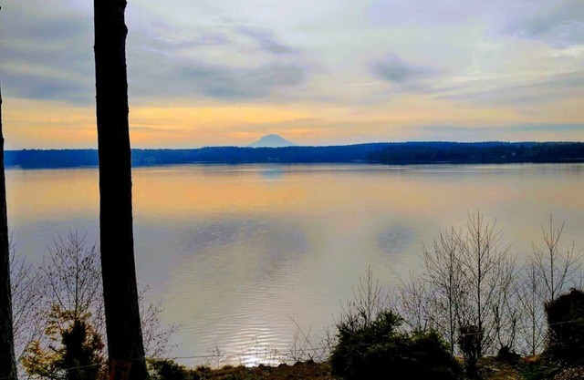 Judys Island Getaway179