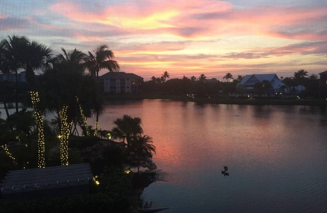 Jupiter Bay Condo - Walk to Beach