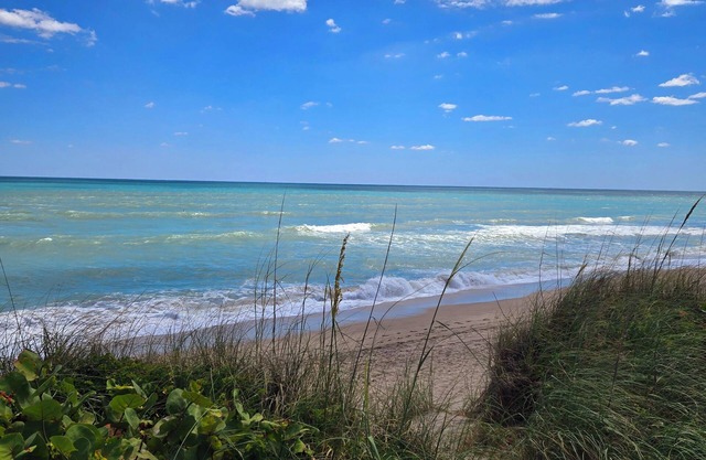 Just Beachy: A Breezy 1-Bedroom Escape