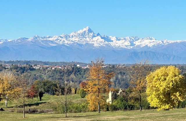 Just Langhe Casa Dolcetto
