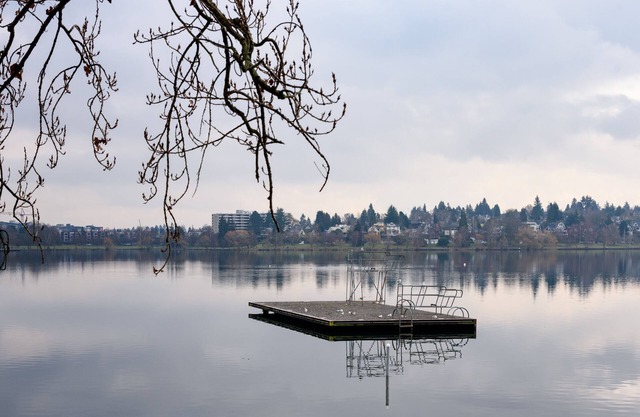 KABINO: Mini Modern TINY HOME Heart of Green Lake Pet Friendly WiFi Loft up Ladder plus Sleeper Sofa