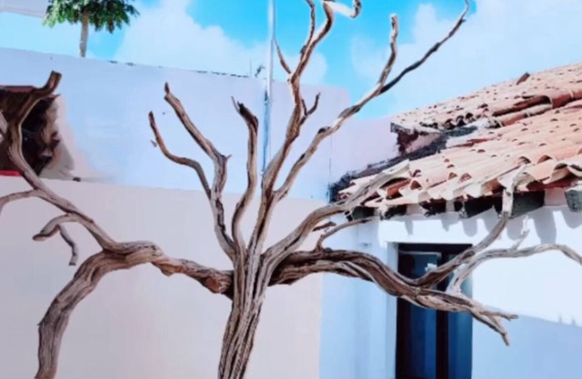 Kasa Morelos Hotel Boutique