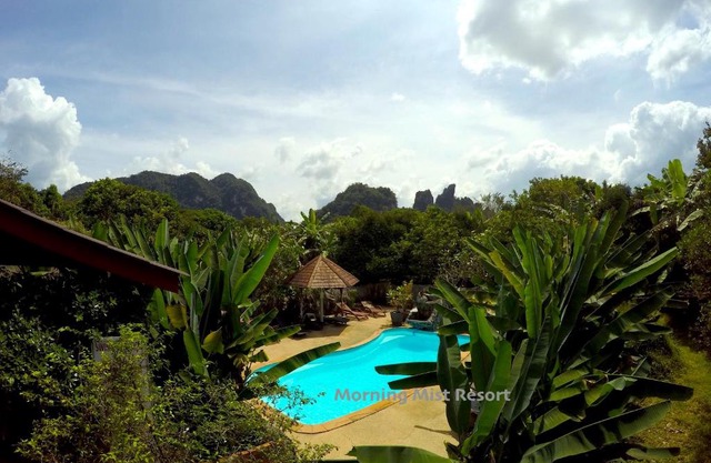 Khao Sok Morning Mist Resort