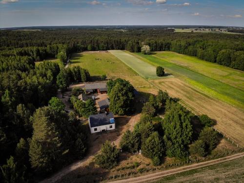 Kolorowe Wzgórze agroturystyka i konie