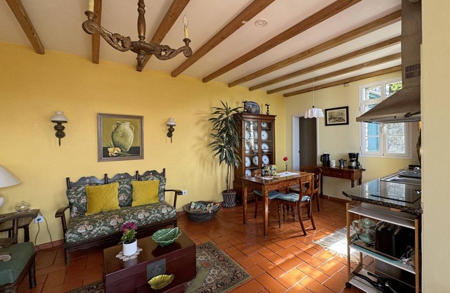 - Lírios do campo -