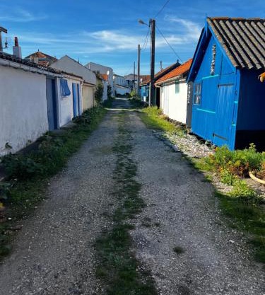 L'étoile de mer