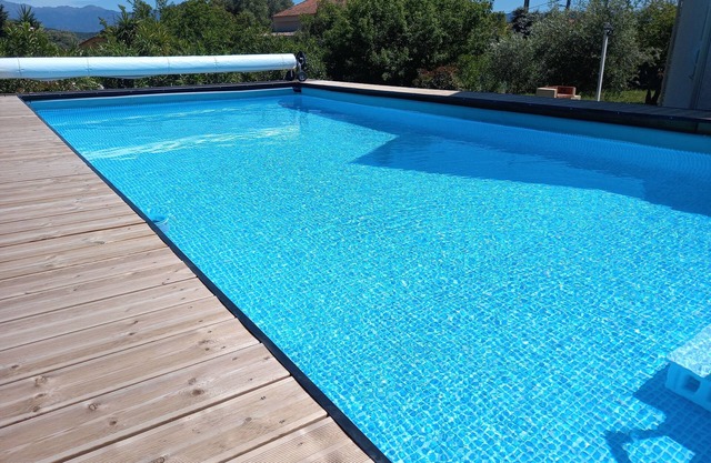 L' Amandier with communal swimming pool