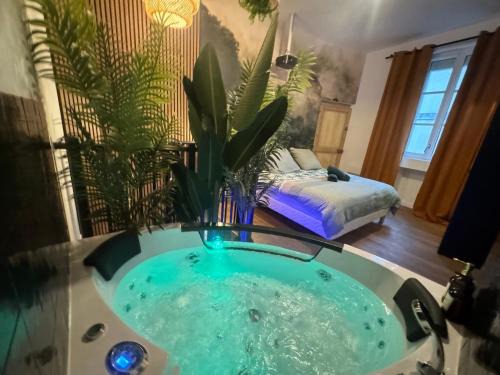 L'Oasis Angevine - Balneo, Sauna, Home Cinema & Parking