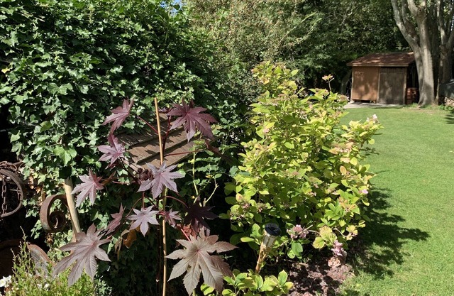 L'Orée de Giverny