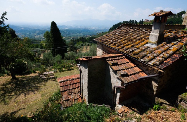 L'Orto dei Bruchi: Il Timo