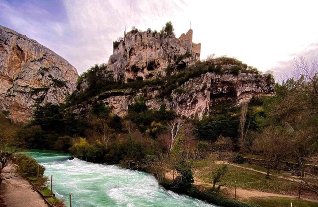 L'Oustau de Laëtitia Welcome Animals