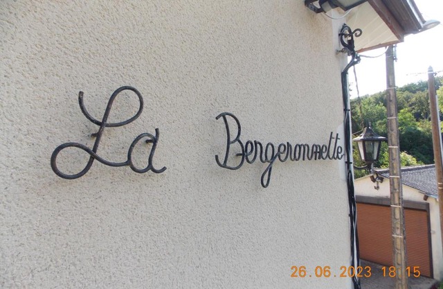 La Bergeronnette Le Buisson