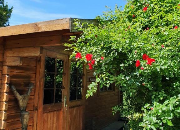 La Cabane du Pesquier en Provence