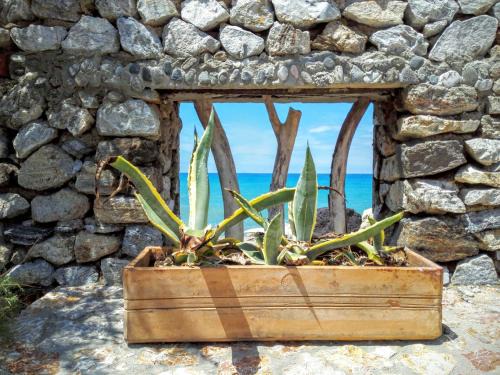 La Casa A Mare B&B