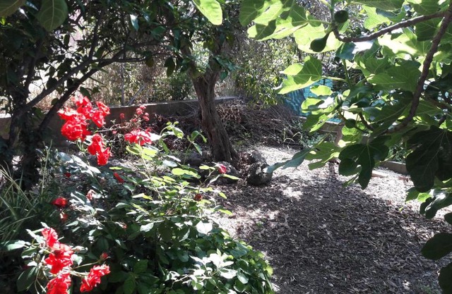 La casa ai piedi del Monte