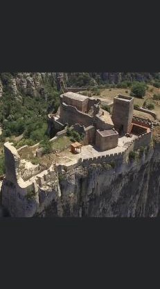 La cigale des cantarelles