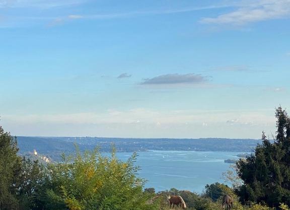 La Garçonniérre del Lago Maggiore