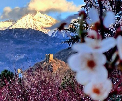 La Maison de Joanna 3