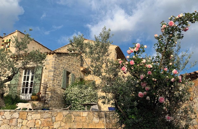 La Rainette en Provence, Chambre à L'écart Dans Propriété Parsemée D'oliviers
