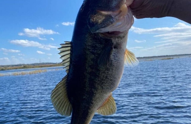 Lake House in Lake Wales Florida