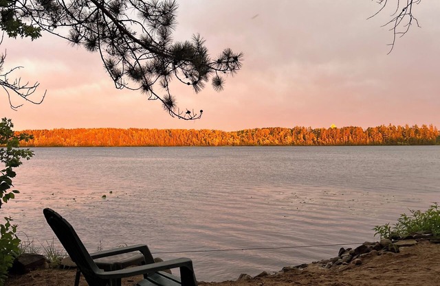 Lakefront Beach Bungalow - Retreat & Relax - Kayaks, Fire pit, Tree Swings!