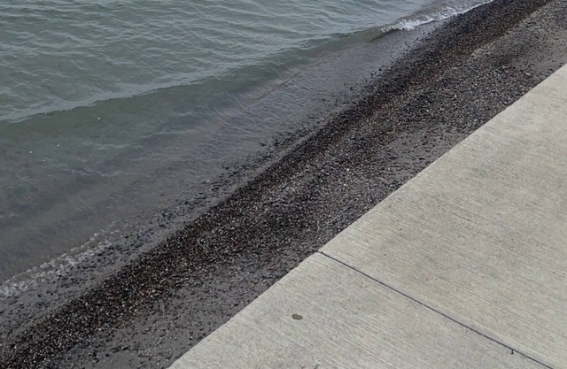 Lakefront Cottage w/ Breathtaking Views