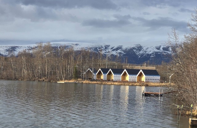 Lakefront Cottage with Sauna- #1 Arctic Grayling