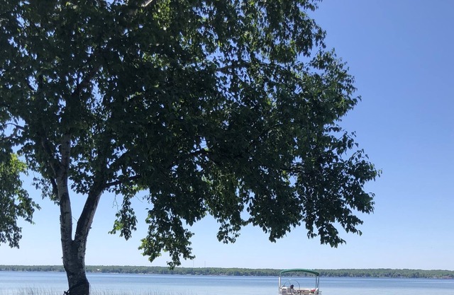 Lakefront getaway w/ treehouse, hot tub, 20 foot pontoon, gym