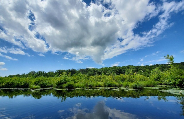 Lakefront Retreat Perfect for Families & Groups