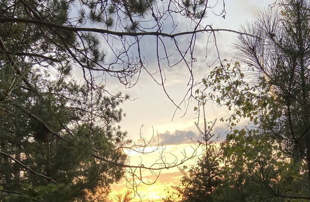 Lakeside Cabin: Swim, Fish, Kayak. Hunt & Trails nearby