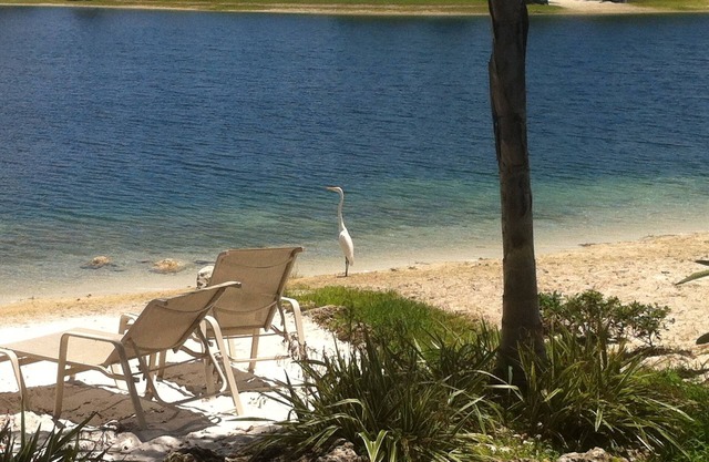 Lakeside Miami, Designed for Superior Comfort, close to everything Kendall