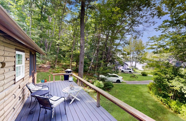 Lakeview Cabin with Private Deck, Grill, & Fireplace + Free WiFi - Close to Town
