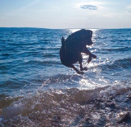 Larah Land 4 Star Glamping Yala Lodge plus kids lodge