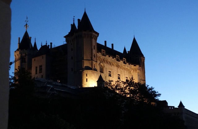 Large apartment between Loire and Château