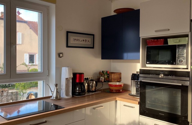 Large character house with wooded garden Obernai Alsace tourist town