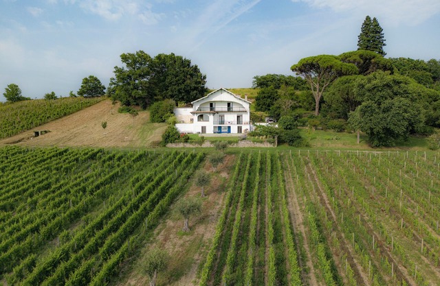 Large designer villa with swimming pool and vineyard - Bordeaux Sud