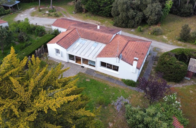 Large house surrounded by pine trees