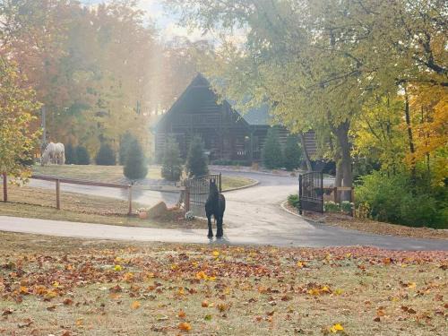 Large Log Cabin Chalet w/Hot Tub - Horses & Lake!