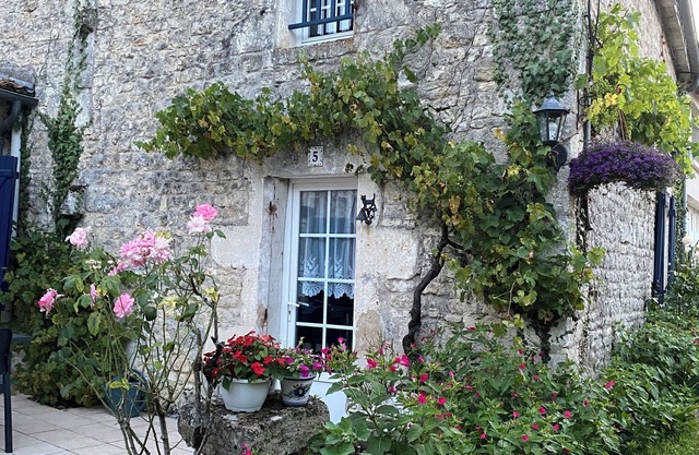 Large, quiet gîte with swimming pool