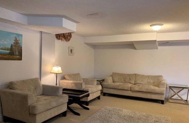 Large walk-out Basement Unit in central Richmond Hill