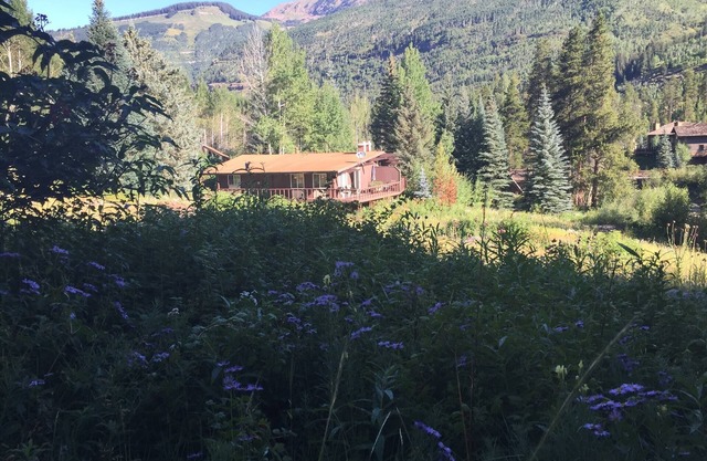 LAST MINUTE BARGAIN Vail Cabin with Spectacular Views, one of a kind views!