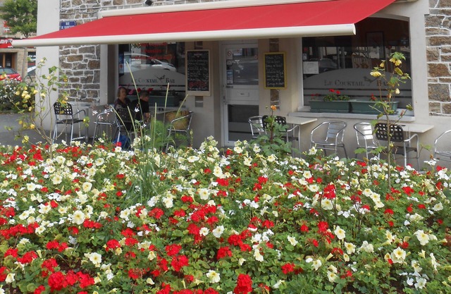 Le Cocktail Bar