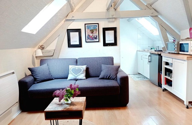 Le Cocon appartement proche Epernay et Maisons de Champagne