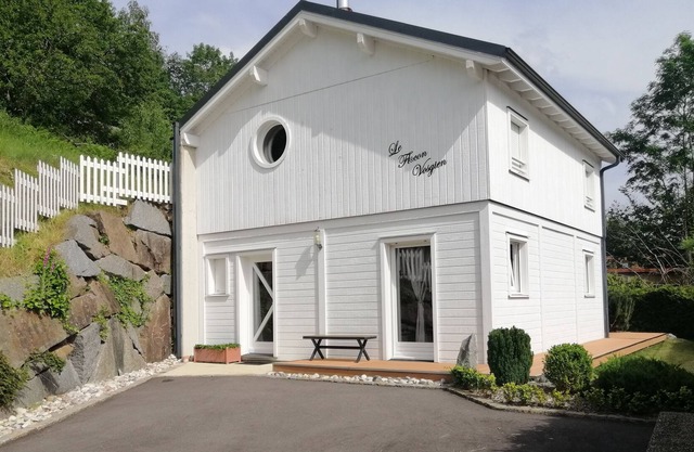 Le Flocon Vosgien (10 min from Gérardmer)