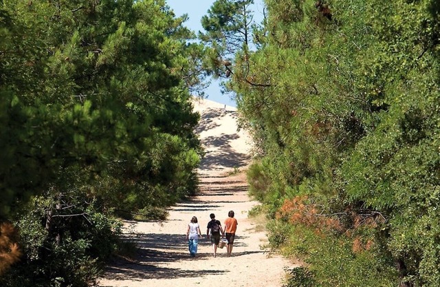 Le Galon d'Or - newly renovated vacation home. Ideally located