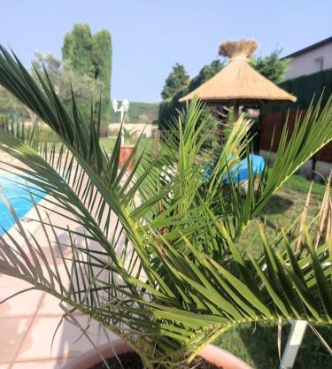 Le gite de lOlivier en Provence