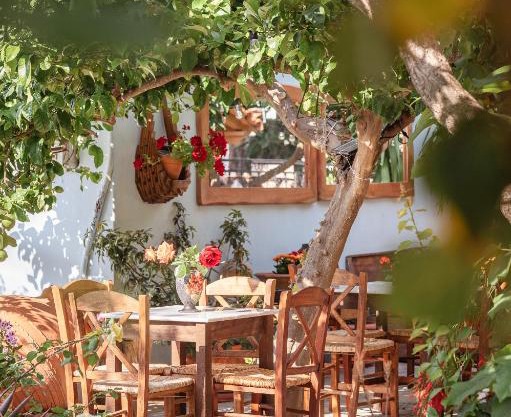 Lemon Tree Apartments Samos