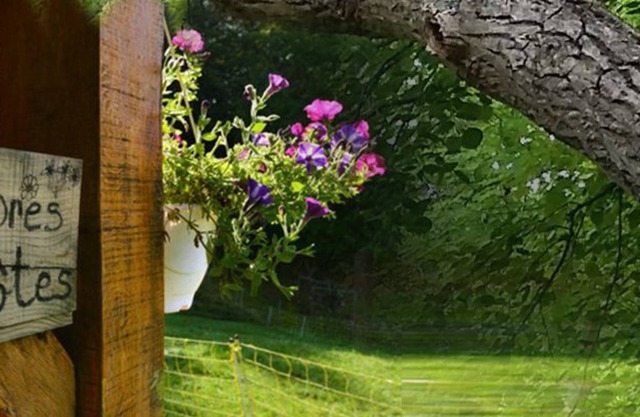 Les Hauts Du Val - chambres d'hotes